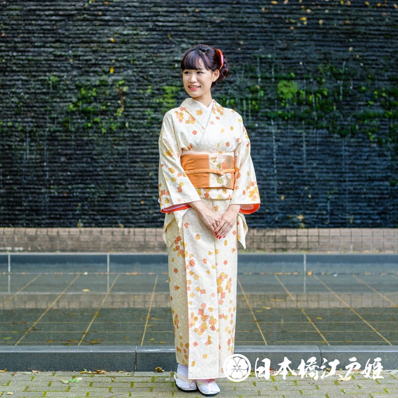 付け下げ作家もの金彩几帳菊梅桔梗橘桜着物021a d - 訪問着・付け下げ 