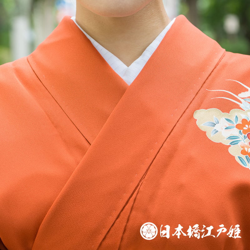 0298 付け下げ 優品Bランク 正絹 袷 赤茶 雲文 草花 有職文様 ぼかし 