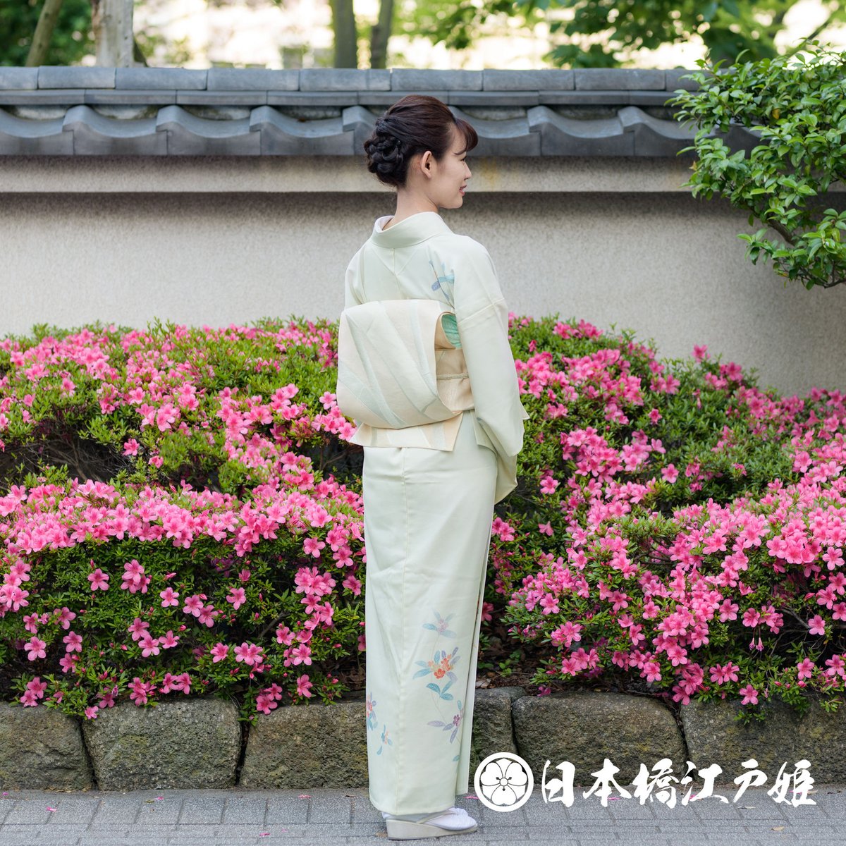 値下げ交渉OK！夏物 駒絽 小紋 鷹羽違い 正絹 U696