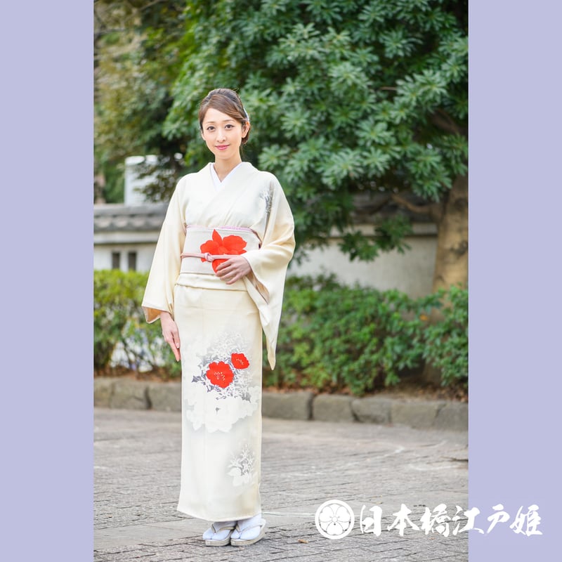 付下げ 袷 正絹 横段霞模様 茄子紺 身丈170.5裄67.5トールサイズ