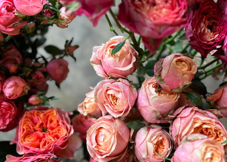 【Vivid Rose Bouquet】 【店頭受け取り 専用】 2026