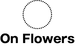 onflowers