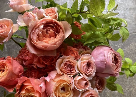 【Vivid Rose Bouquet】 【店頭受け取り 専用】 2026