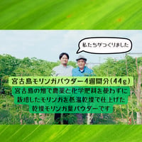 宮古島モリンガパウダー44ｇ＜4週間分＞