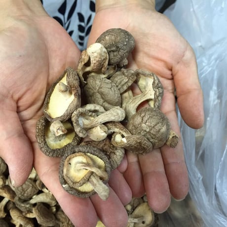 【CO2オフセット済み】出汁用おひさま干し椎茸80g入り