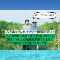 宮古島モリンガパウダー11ｇ＜1週間分＞