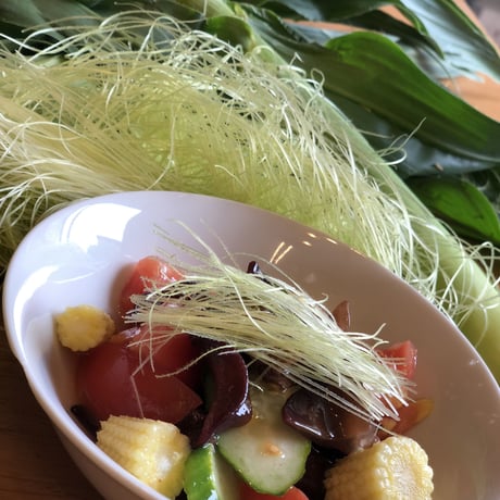【送料無料！】おウチで栽培！スグデルきくらげ栽培キット