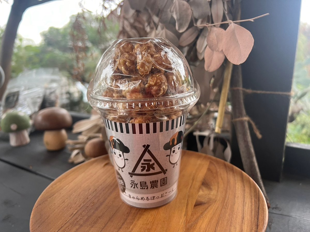 おひさま干し椎茸粉入り キャラメルポップコーン | 永島農園