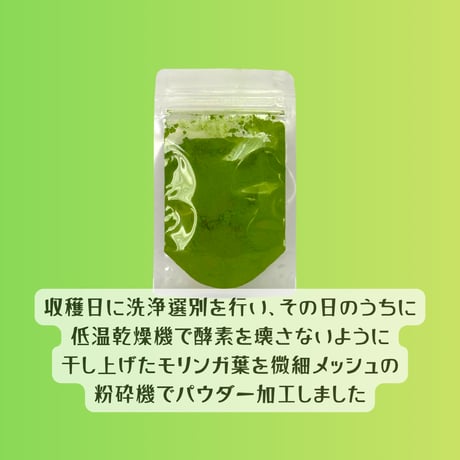 宮古島モリンガパウダー11ｇ＜1週間分＞