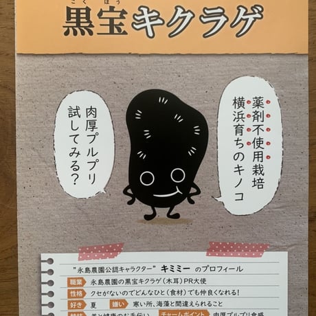 おひさま干しキクラゲ50ｇ入り袋