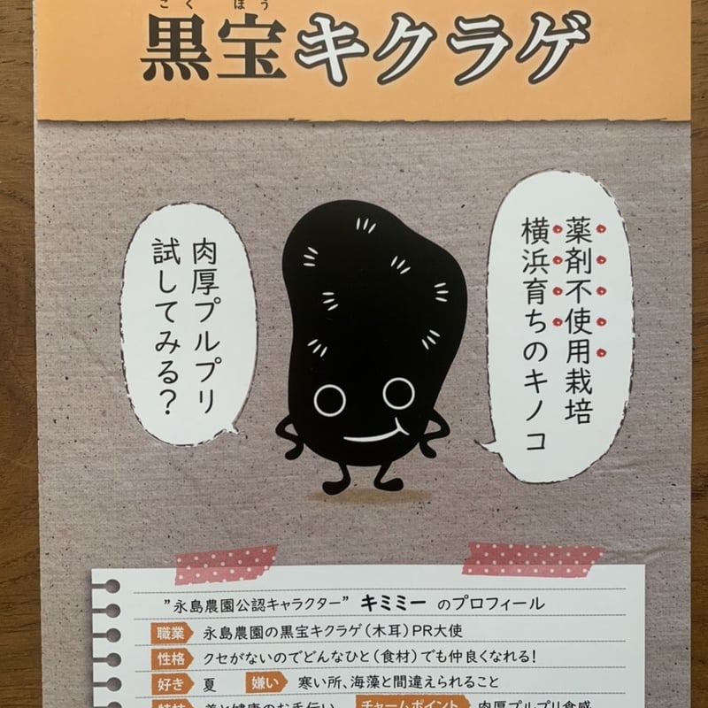 CO₂オフセット済み】おひさま干しキクラゲ50g入り袋 | 永島農園