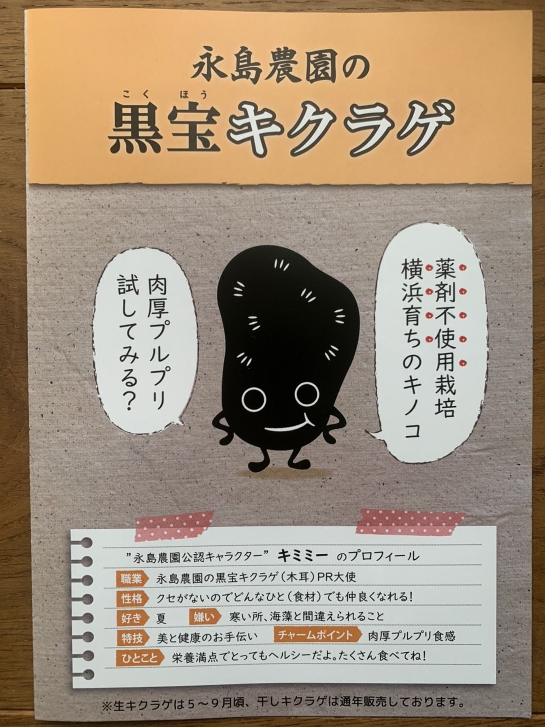 CO₂オフセット済み】おひさま干しキクラゲ50g入り袋 | 永島農園