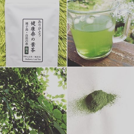 2024年産 オーガニック粉末桑の葉茶 [島桑]organic mulberry leaf powder