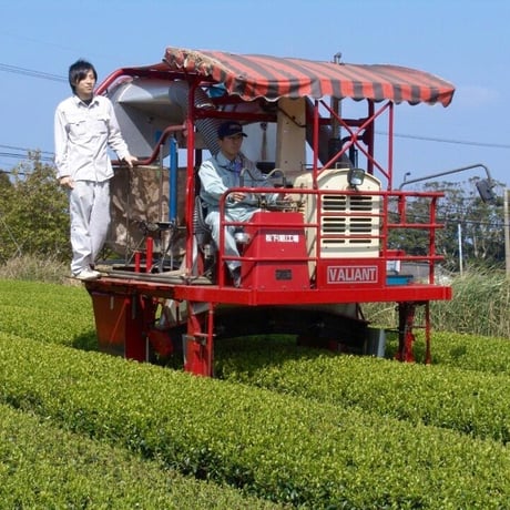 2025年産 オーガニック粉末緑茶   Organic Powdered Green Tea