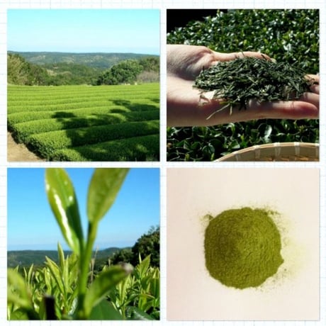 2023年産 オーガニック粉末緑茶   Organic Powdered Green Tea