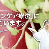 大阪府堺市のクッキー動物病院 犬の皮膚病、アレルギーを考慮したシャンプーやスキンケア用品、デンタル用品、その他犬猫用健康補助食品通販