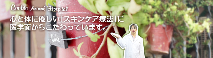 大阪府堺市のクッキー動物病院　犬の皮膚病、アレルギーを考慮したシャンプーやスキンケア用品、デンタル用品、その他犬猫用健康補助食品通販