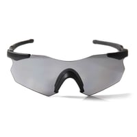 【HOOD別注商品】SWANS GULLWING ( Matt Bk / Polarized Smoke )