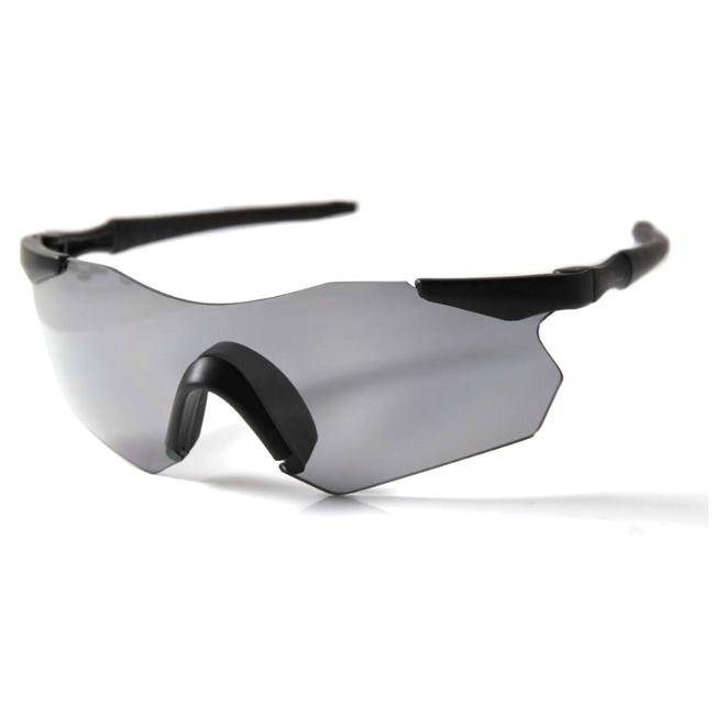 HOOD別注商品】SWANS GULLWING ( Matt Bk / Polarized
