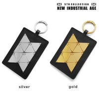 TRIANGLE plate pass case