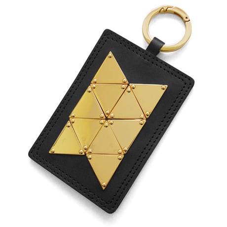 TRIANGLE plate pass case