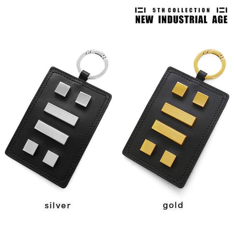 6 SQUARES pass case