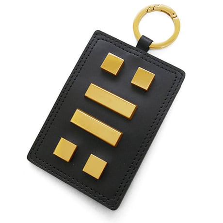 6 SQUARES pass case