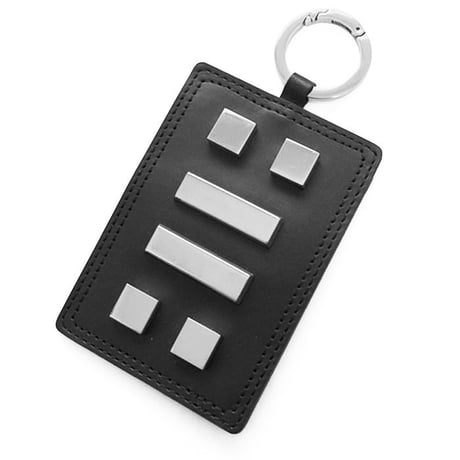 6 SQUARES pass case