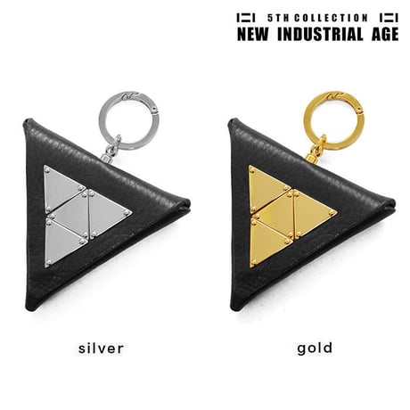 TRIANGLE plate coin case
