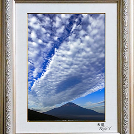 ☆ロッキー田中第33作黄金の海81/500A3サイズ額付き