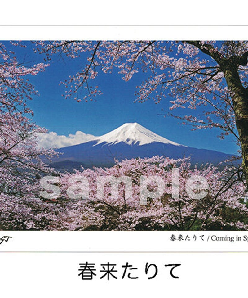 ポストカード1枚 | ときめきの富士