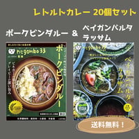 negombo33監修「ポークビンダルー辛口」＆「ベイガンバルタ＆ラッサム中辛」各１０個（合計２０個）セット　 送料無料
