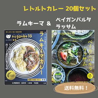 negombo33監修「ラムキーマカレー中辛口」＆「ベイガンバルタ＆ラッサム中辛」各１０個（合計２０個）セット　 送料無料