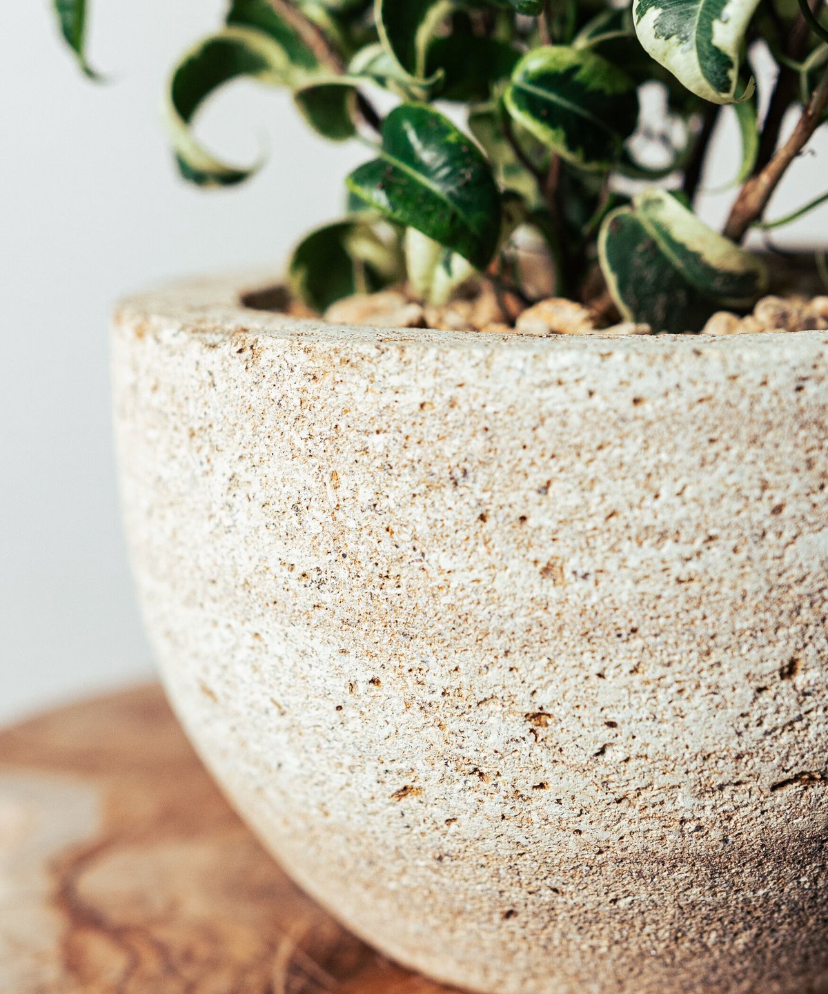 ベンジャミン・シタシオン | TIANA STORE