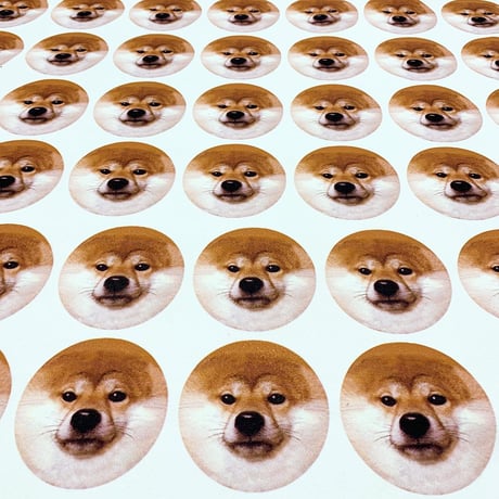 シバのぱんぱん袋を買うとシバのミラープレゼント！！【Shiba Pouch】