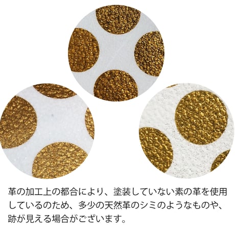 キーパスケースクリアドット ストラップ付き  【Key Passcase Clear Dot with Strap】