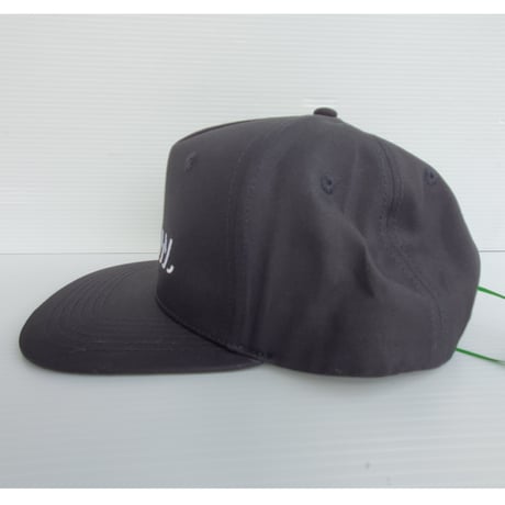 FOLLOW CORP CAP