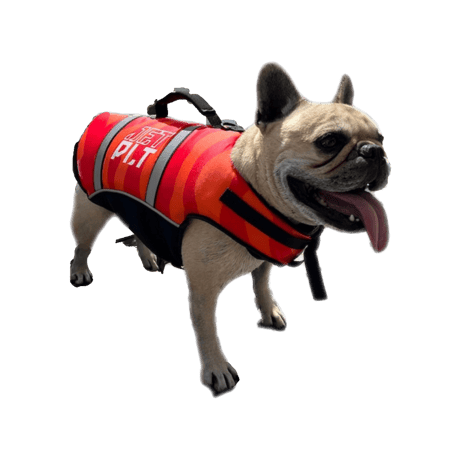 JET PILOT DOG PFD Red