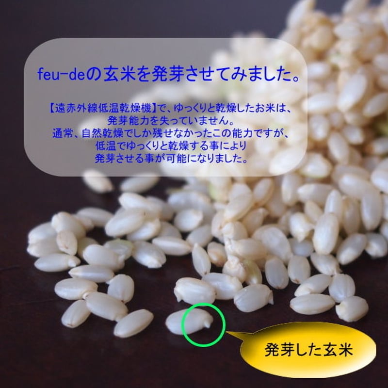 新米 feu-de ミルキークイーン 玄米10kg | feu-de 新米 feu-de ミルキークイーン 玄米10kg | feu-de
