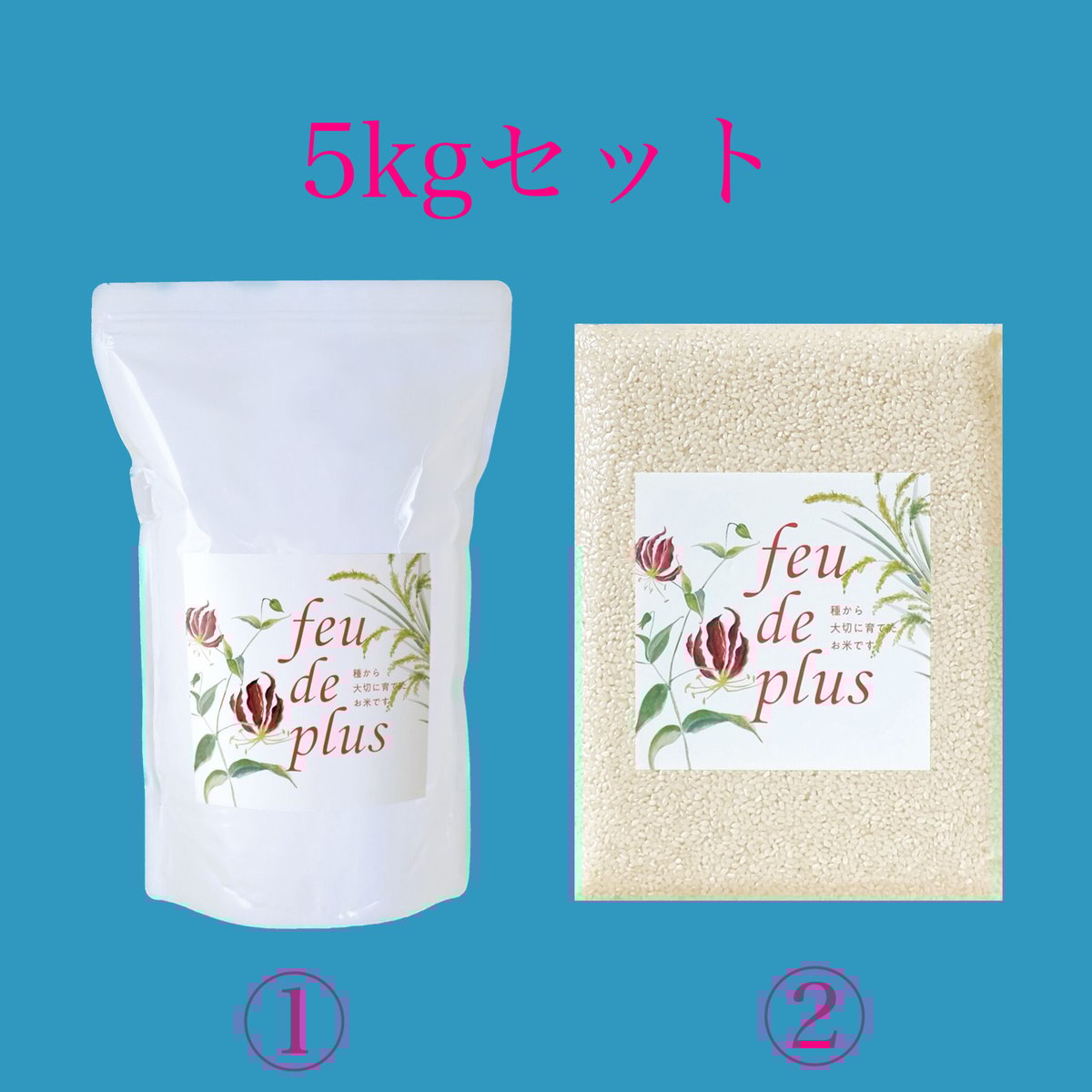 R５年収穫！姫ごのみ白米27ｋｇサイズ　大袋版 R5年収穫！新米姫ごのみ白米27kgサイズ 大袋版