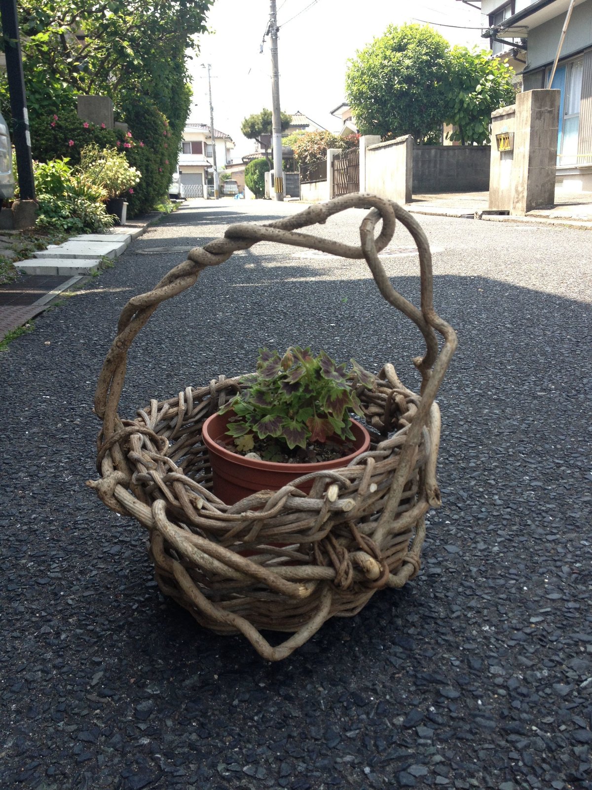 つるかご 工芸品 ヴィンテージ 黒葛 くろかずら