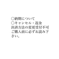 購入前に必ずお読み下さい