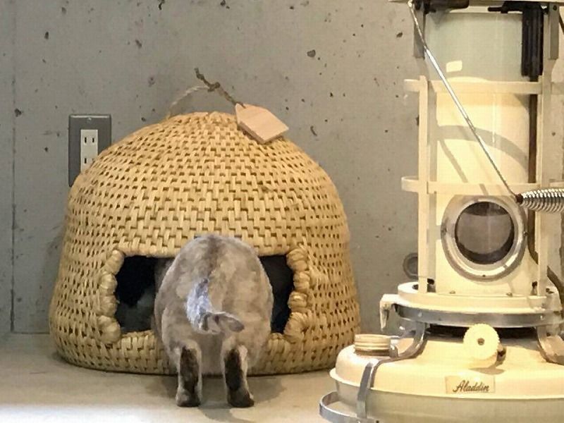 価格改定】長野県栄村産 猫つぐら システム上送料無料と表記されますが