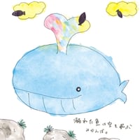 みゆんぼ。（芹沢ミユ）：溺れた魚は空を飛ぶ【通常盤】