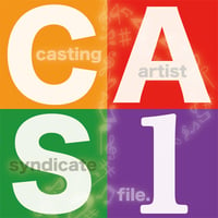 【ピストアＳＰ】Casting Artist Syndicate：CAS file.1【送料込】
