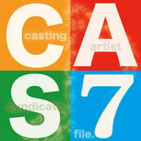 Casting Artist Syndicate：CAS file.7【ステッカー付】