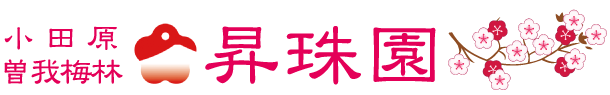 小田原曽我梅林 「昇珠園」梅花 オンラインショップ