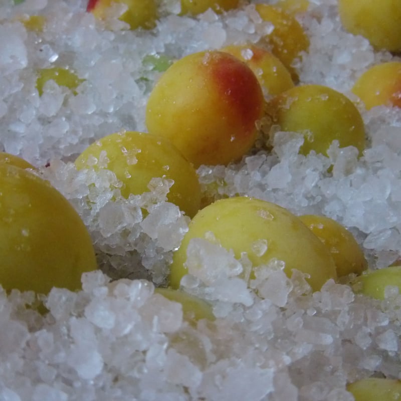 3年漬け】完熟十郎梅干260gパック | 小田原曽我梅林 「昇珠園」梅花