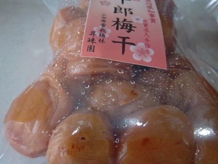 完熟十郎】お買い得！十郎梅300g袋入り | 小田原曽我梅林 「昇珠園