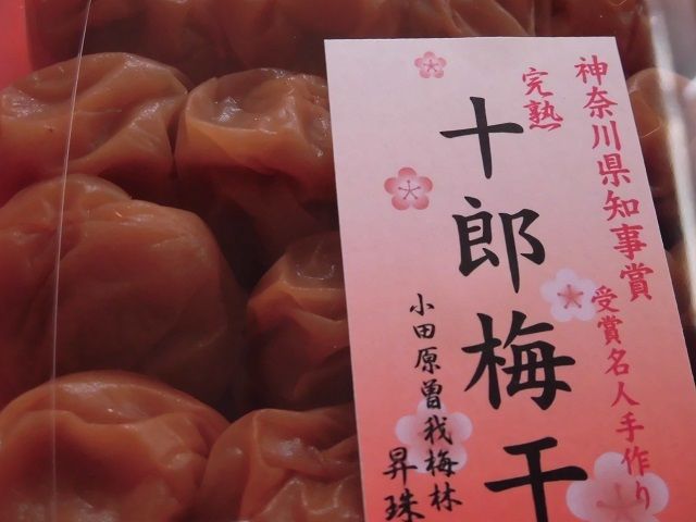 完熟十郎】お買い得価格！完熟十郎梅ご家庭用梅干しパック入 | 小田原